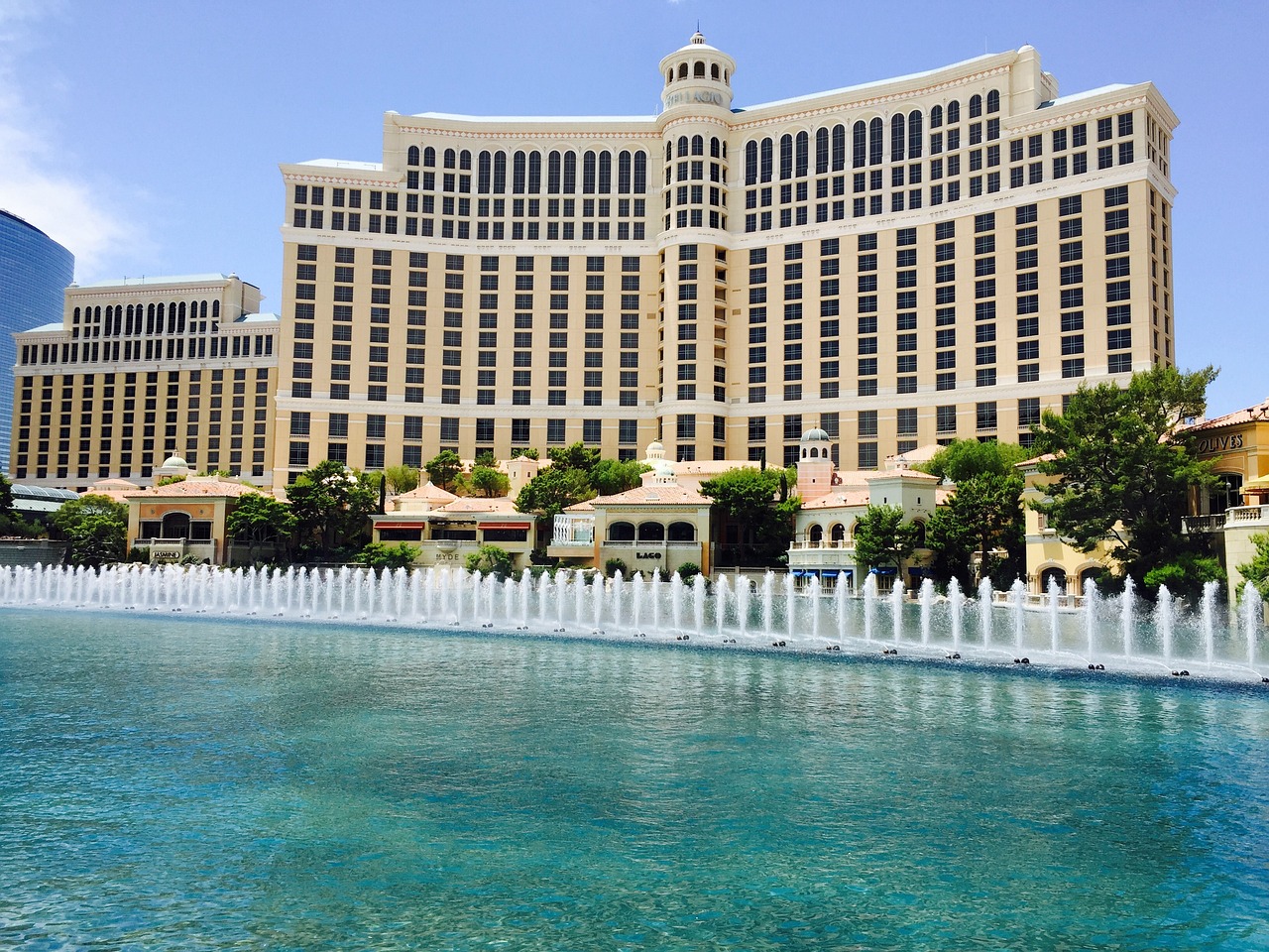 Las Vegas show