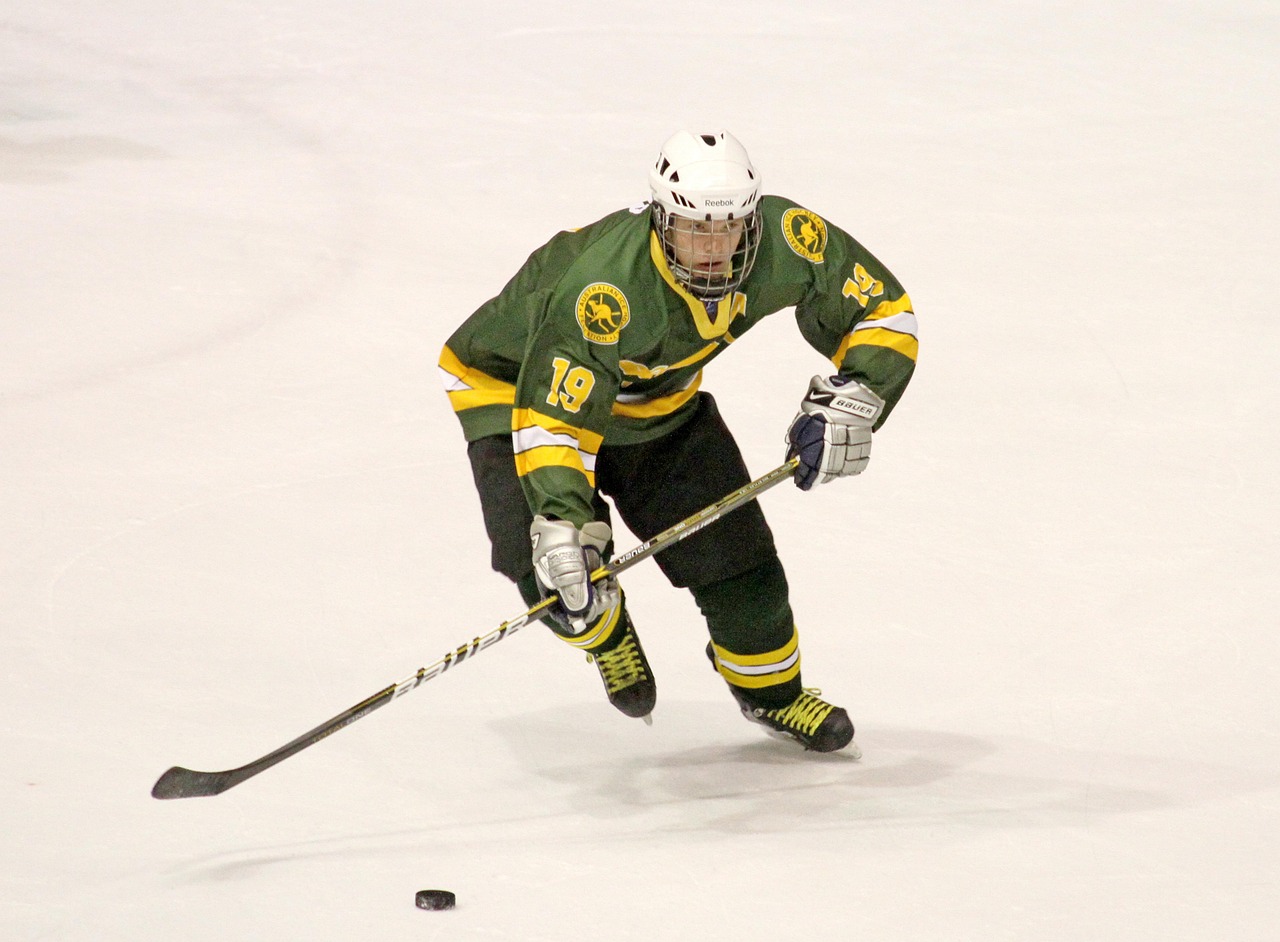 Hockey game