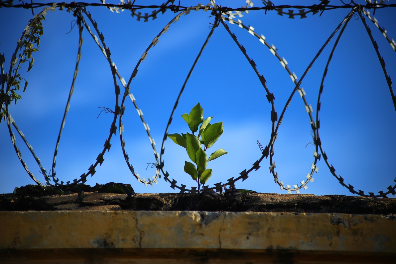 Prison escape