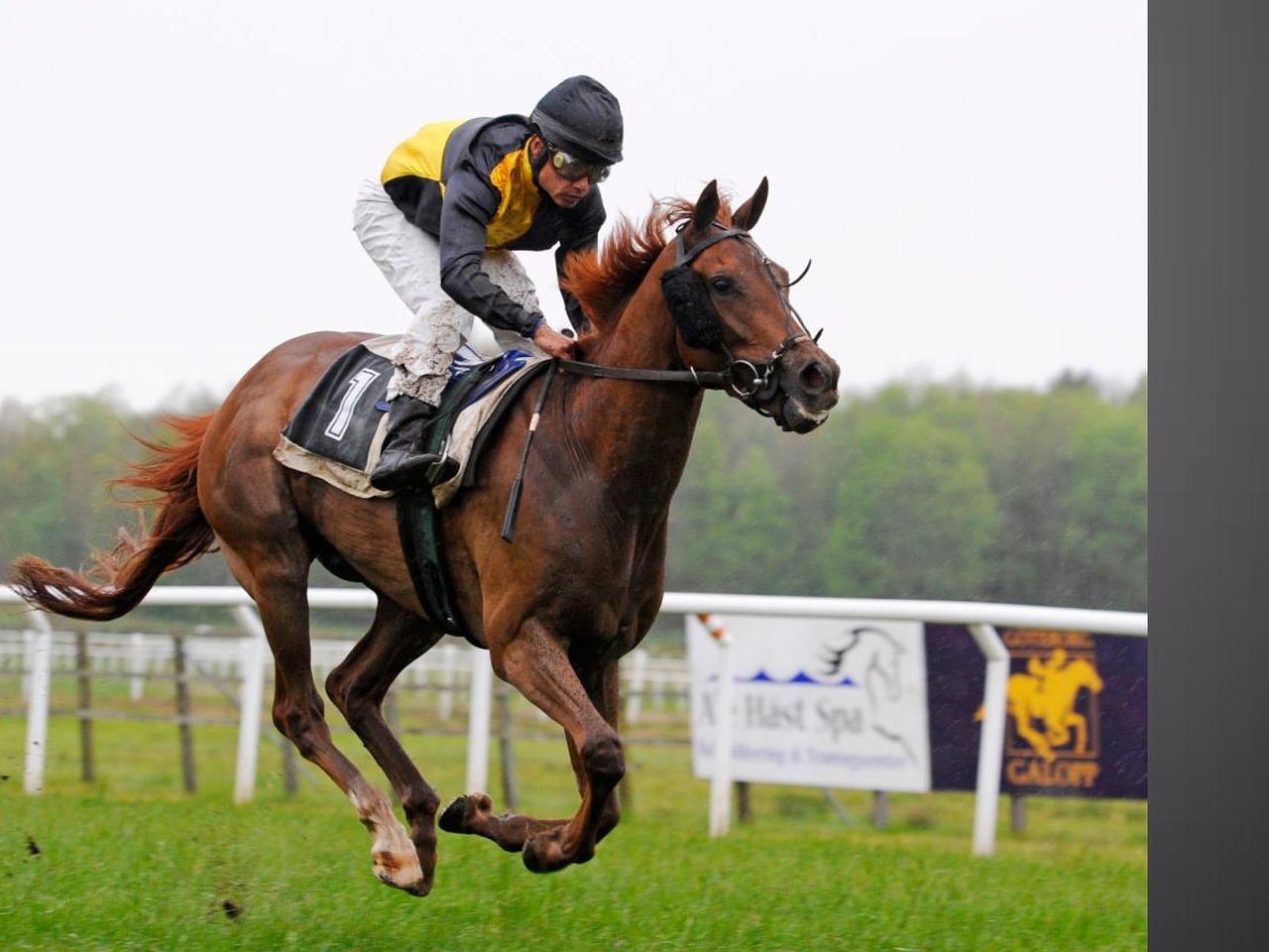 Horse racing