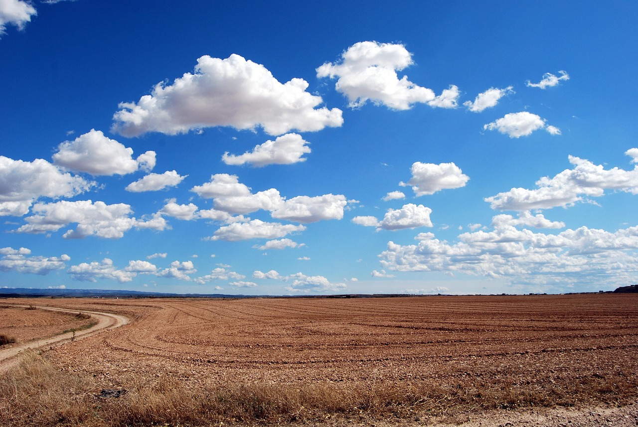 Land rights