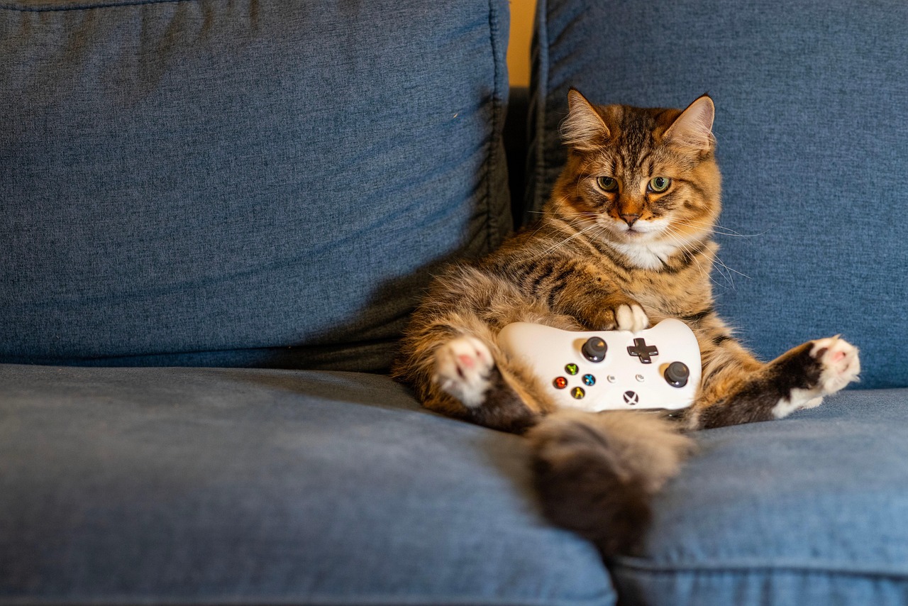 Responsible gaming